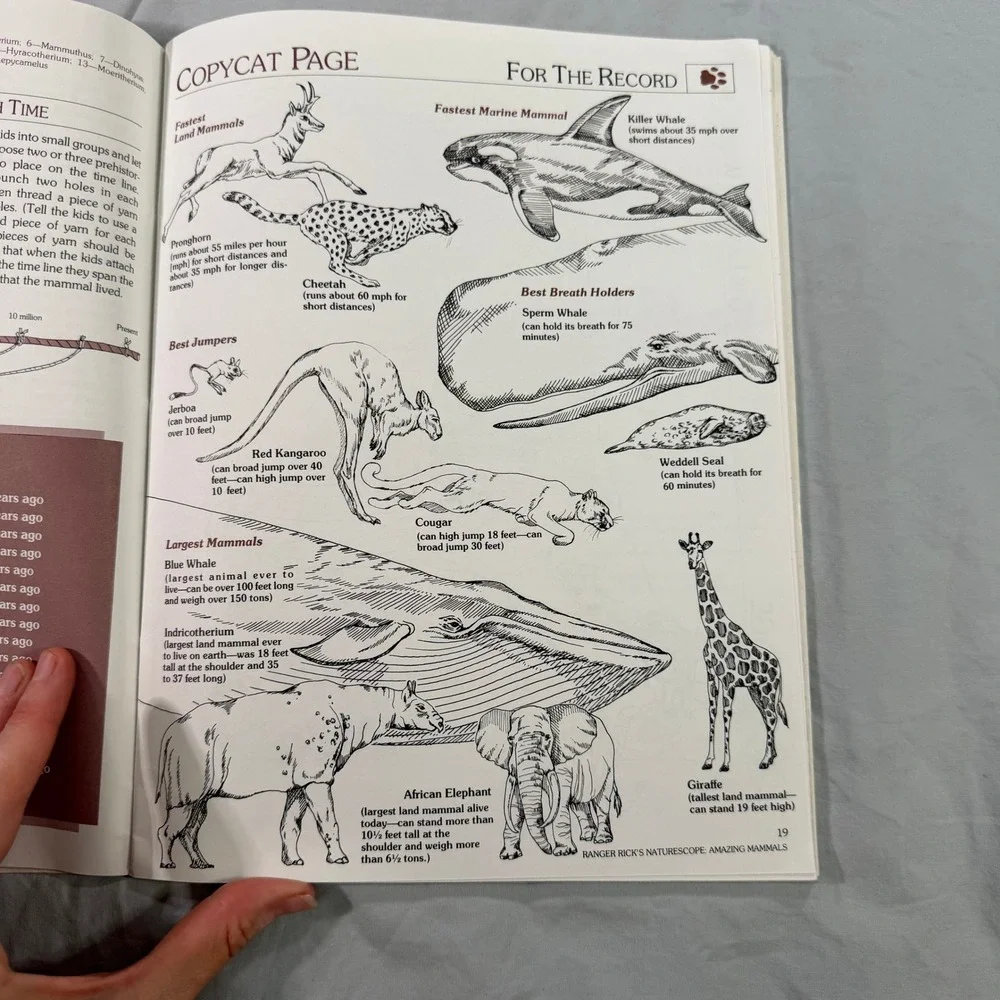 Vintage Ranger Rick Naturescope Amazing Mammals Part I Activity Book Vol 2 No 3